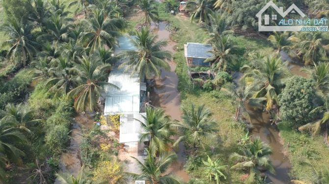 Chính chủ bán đất CLN xã Tân Nhựt 8151m2 có sẵn vườn dừa - 4