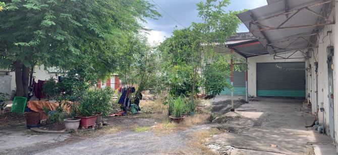 Mặt tiền quận 8, 2515m2, 31x93 nở hậu 2 mặt sông tiện biệt thự, phân lô, CHDV giá 98 tỷ TL - 7