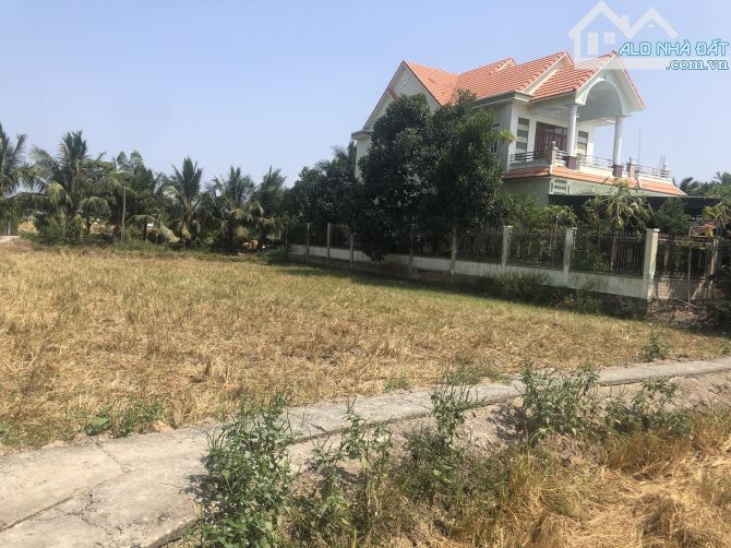 Cần tiền bán gấp 516m2 đất lúa tại xã Tân Lân - 1