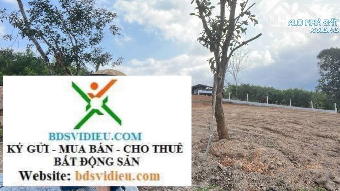 Cần bán đất như hình, hơn 1.735m2 đất CLN tại Hoà Ninh, Hòa Vang, Đà Nẵng. – Pháp lý giấy - 3