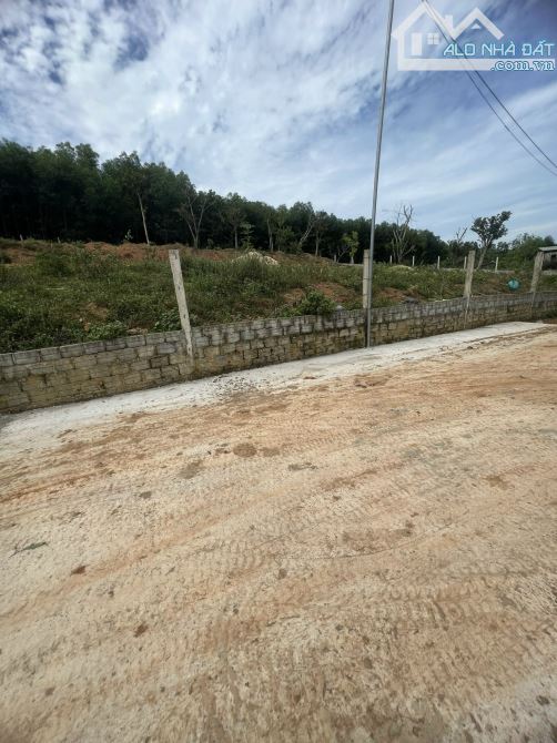 Cần bán đất như hình, hơn 1.735m2 đất CLN tại Hoà Ninh, Hòa Vang, Đà Nẵng. – Pháp lý giấy - 4