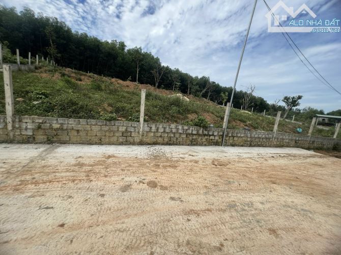Cần bán đất như hình, hơn 1.735m2 đất CLN tại Hoà Ninh, Hòa Vang, Đà Nẵng. – Pháp lý giấy - 5