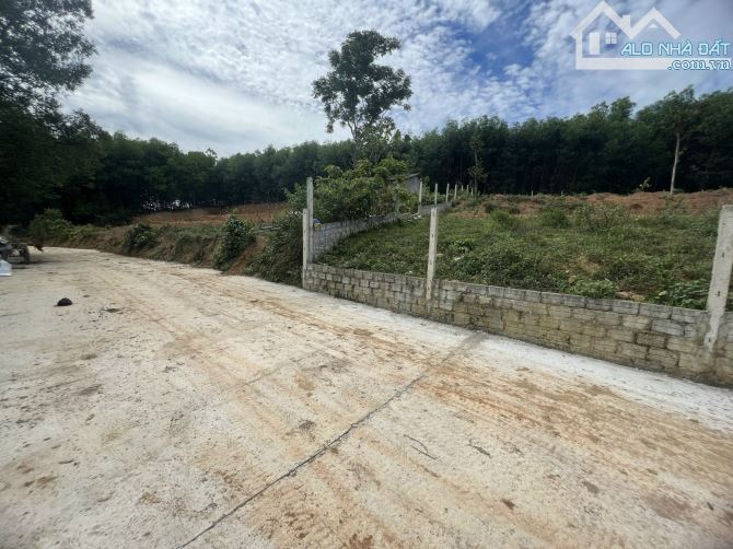 Cần bán đất như hình, hơn 1.735m2 đất CLN tại Hoà Ninh, Hòa Vang, Đà Nẵng. – Pháp lý giấy - 6