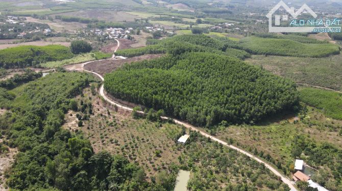 bán đất tặng vườn Bưởi 3 hecta gần uỷ ban xã Khánh Trung, Khánh Vĩnh giá rẻ