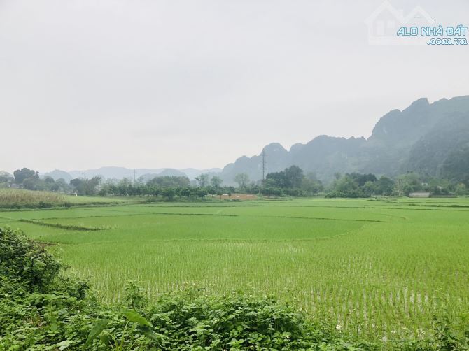 BÁN GÁP LÔ ĐẤT VIEW CÁNH ĐỒNG CỰC ĐẸP CÓ DT 1380m2 ( 400m2 ONT) GIÁ RẺ Ở LƯƠNG SƠN