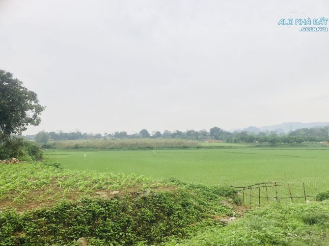 BÁN GÁP LÔ ĐẤT VIEW CÁNH ĐỒNG CỰC ĐẸP CÓ DT 1380m2 ( 400m2 ONT) GIÁ RẺ Ở LƯƠNG SƠN - 10