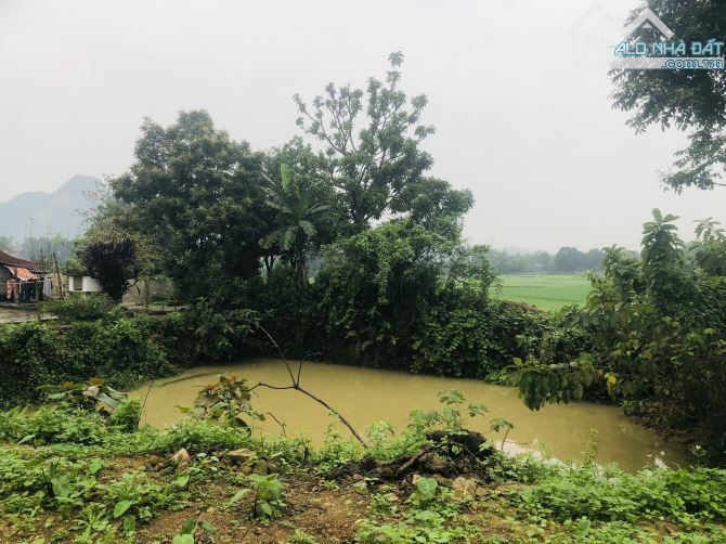 BÁN GÁP LÔ ĐẤT VIEW CÁNH ĐỒNG CỰC ĐẸP CÓ DT 1380m2 ( 400m2 ONT) GIÁ RẺ Ở LƯƠNG SƠN - 11