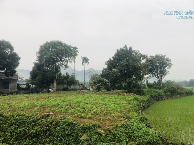 BÁN GÁP LÔ ĐẤT VIEW CÁNH ĐỒNG CỰC ĐẸP CÓ DT 1380m2 ( 400m2 ONT) GIÁ RẺ Ở LƯƠNG SƠN - 12