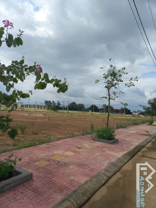 BÁN ĐẤT DT 120M2 THÔN AN HÒA,NHƠN KHÁNH TX AN NHƠN,BĐ - 2