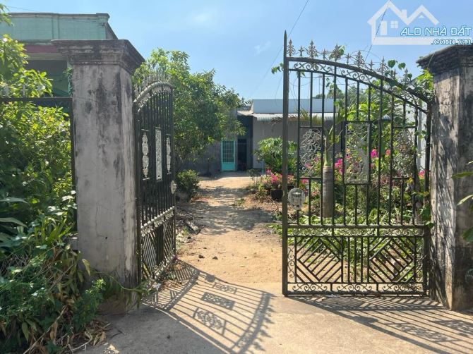 Bán 300 m2 khu bàn cờ tân hiệp giá mềm - 4