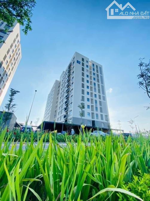 Căn hộ Ehome Southgate giá 968 triệu/ căn của CĐT Nam Long - khu đô thị Waterpoint. - 4