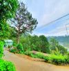 Bán đất 2 mặt tiền view rừng thông đẹp trung tâm Đà Lạt, gần cafe Mây Lang Thang
