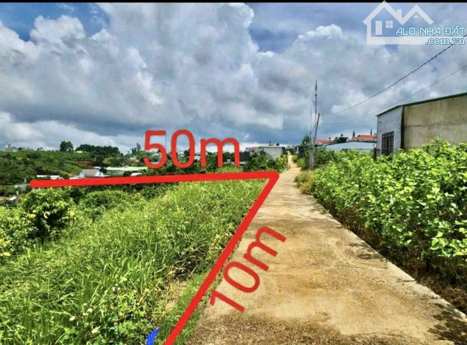 ✨ Diện tích: 10×50m (200m2 Thổ Cư), hẻm 357 Lý Thái Tổ ngay sau UBND xã Đam B