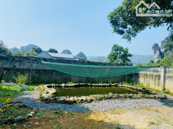 BÁN GẤP LÔ ĐẤT SẴN KHUÔN VIÊN NHÀ VƯỜN CÓ DIỆN TÍCH 774,7m2 ( 100m2 ONT) VIEW CỰC ĐẸP - 10
