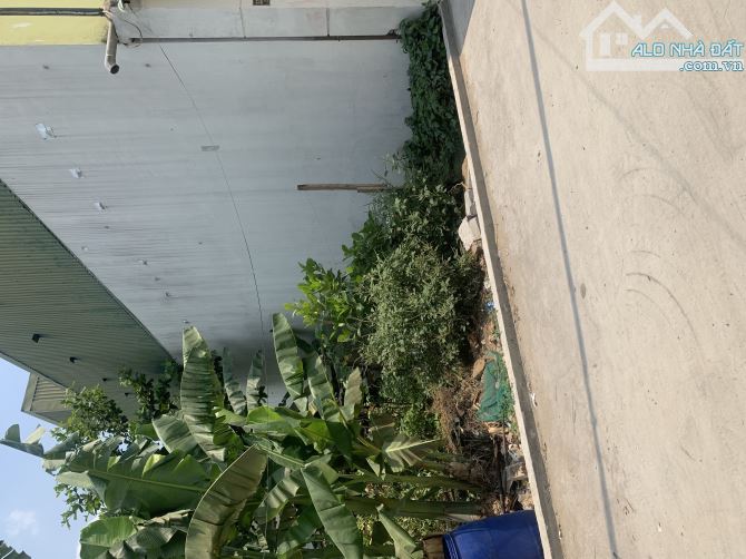 Đất đg Lã Xuân Oai TNP.A Q9 98m2 đất ở SHR giá rê - 1