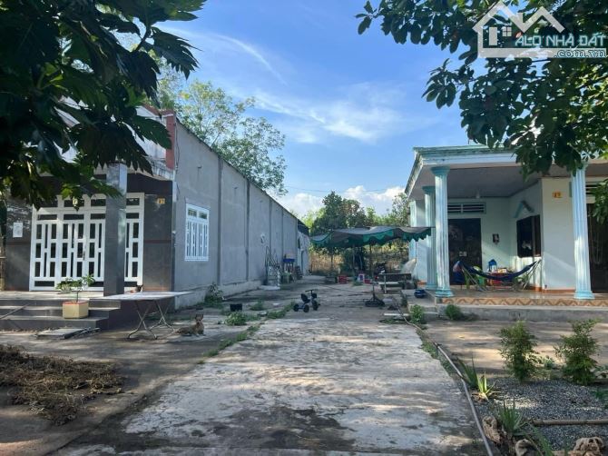 Bán 1 sào 3 tặng luôn hai căn nhà giá mềm - 2