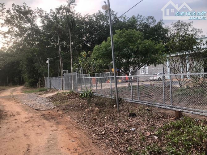 Bán 1 sào 3 tặng luôn hai căn nhà giá mềm - 3