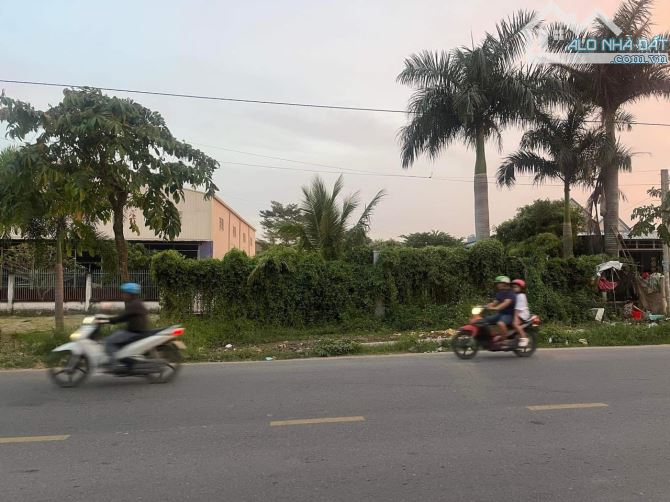 mặt tiền đường ĐT835 Xã Mỹ Lộc, huyện Cần Giuộc, L.A: 1582m2
