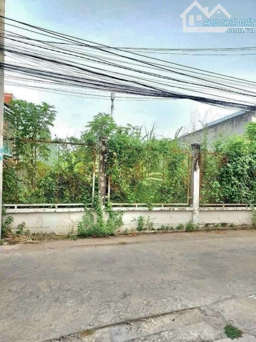✅ Đất thổ cư mặt tiền hẻm 140 Nguyễn Minh Đường, Phường 4 - 10 x 26 - 3 tỷ 750 triệu - 1
