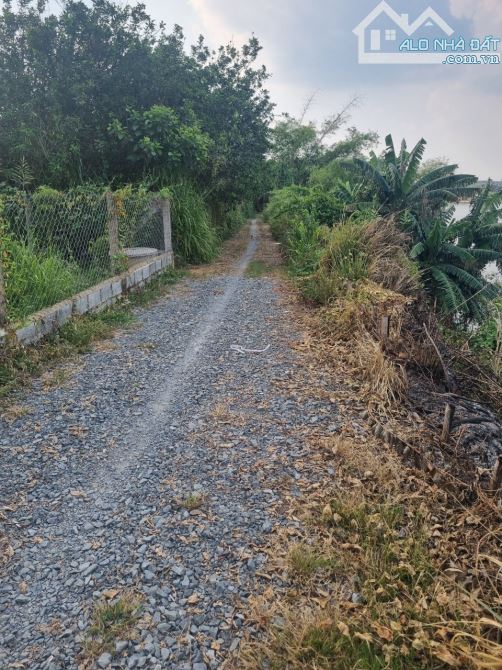 Đất bán 1150m2 Bình Lợi 5,9 tỷ view Sông SHR có thổ cư xây nhà vườn giá tốt đầu tư - 10