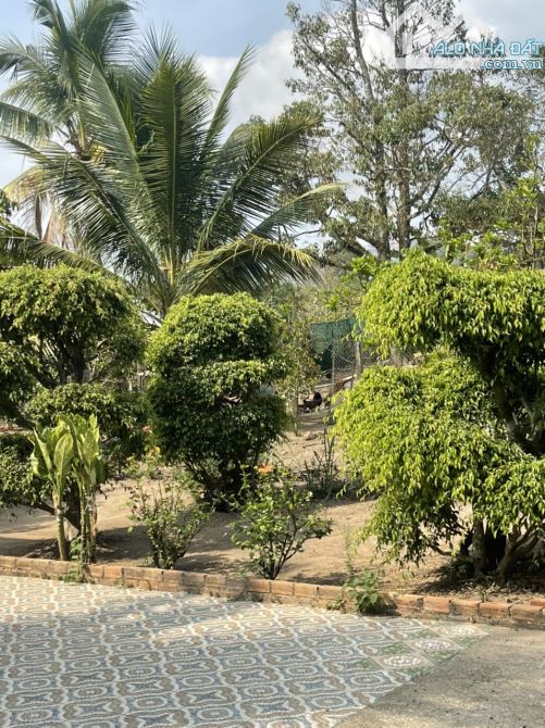 CHÍNH CHỦ BÁN NHANH NHÀ VÀ ĐẤT 556M TP BẢO LỘC GIÁ CHỈ 950triệu - 2