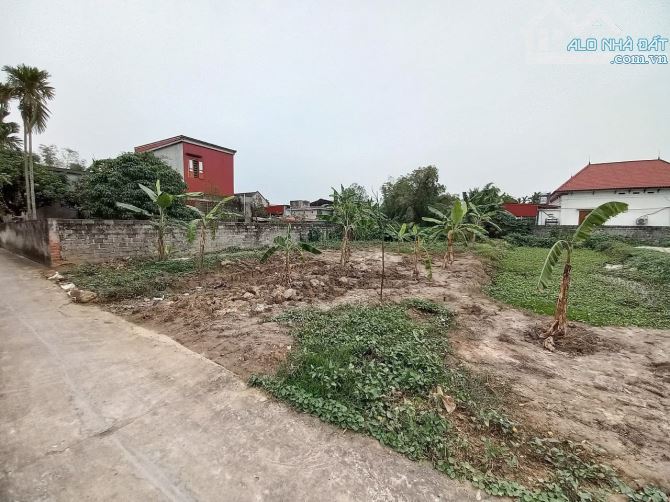 Bán mảnh đất 446 m2 giá cắt lỗ tại Cốc Liễn, Minh Tân, Kiến Thuỵ - 2