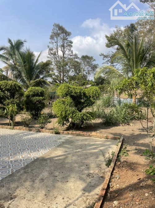 CHÍNH CHỦ BÁN NHANH NHÀ VÀ ĐẤT 556M TP BẢO LỘC GIÁ CHỈ 950triệu - 5