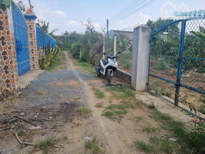 Đất bán 1150m2 Bình Lợi 5,9 tỷ view Sông SHR có thổ cư xây nhà vườn giá tốt đầu tư - 5