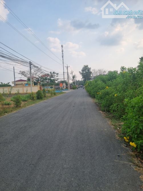 Đất bán 1150m2 Bình Lợi 5,9 tỷ view Sông SHR có thổ cư xây nhà vườn giá tốt đầu tư - 7