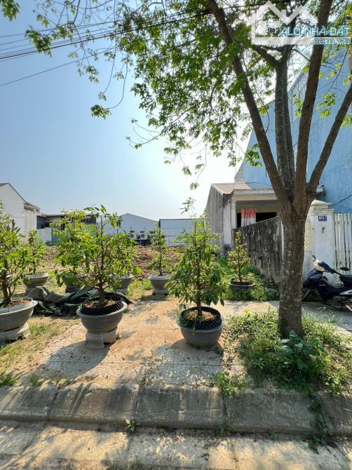Mặt tiền đường Trường Đồng - khu quy hoạch Bàu Vá - 2