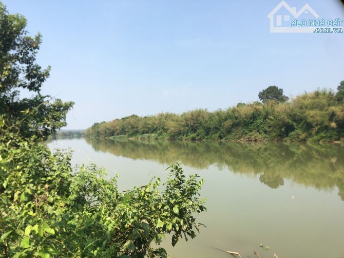 7,5 sào view sông Đồng Nai 300m2 thổ cư 2,7tỷ . Tà Lài , Tân Phú, DN - 5
