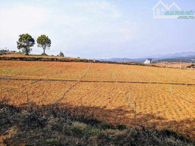 Bán 22Ha đất đẹp View hồ Đại Ninh full sổ hồng cho nhà đầu tư Dự Án nghỉ dưỡng,450tr/sào - 1