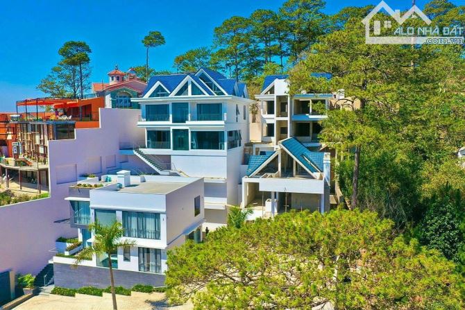 Bán cụm 4 căn biệt thự cao cấp Ba Tháng Tư P3 Đà Lạt view vô cực - 3