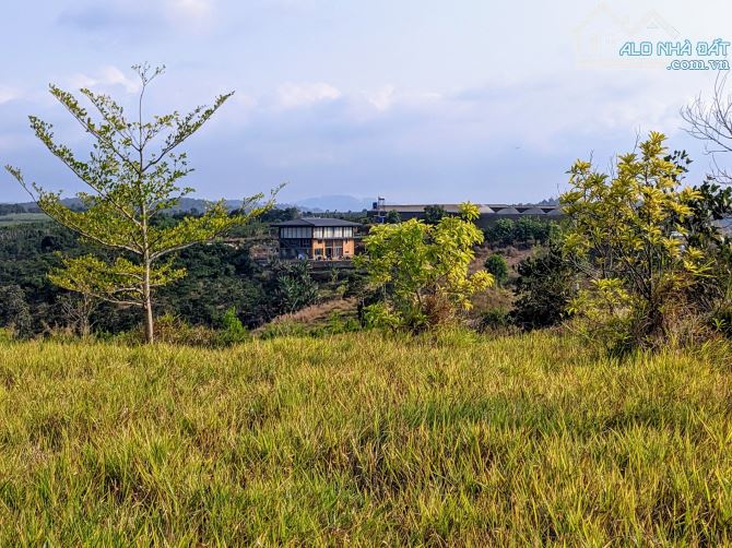 Bán 4Ha đất có 2000m thổ cư View Toàn cảnh Hồ Đại Ninh,Đức Trọng,Lâm Đồng.2.5 triệu/m2 - 3