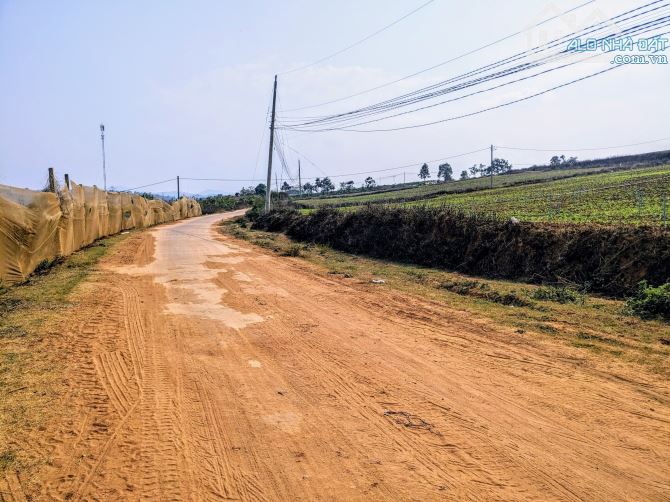 Bán 22Ha đất đẹp View hồ Đại Ninh full sổ hồng cho nhà đầu tư Dự Án nghỉ dưỡng,450tr/sào - 4