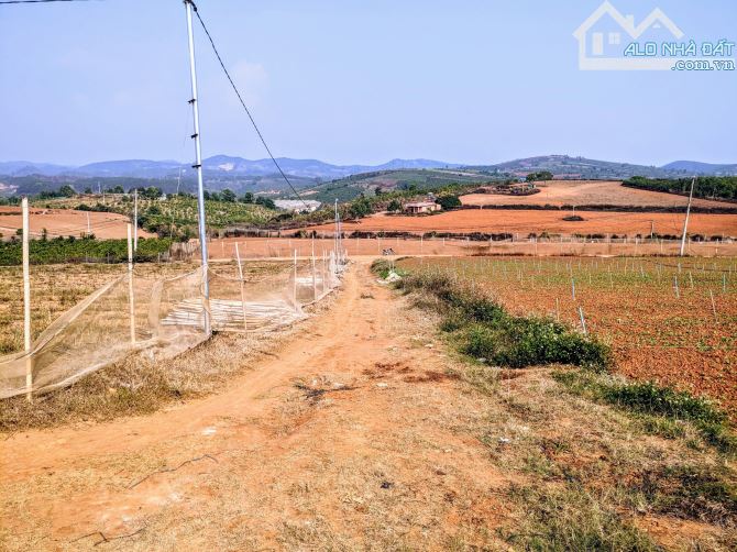 Bán 22Ha đất đẹp View hồ Đại Ninh full sổ hồng cho nhà đầu tư Dự Án nghỉ dưỡng,450tr/sào - 5