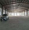 Cho thuê kho xưởng độc lập tại Song Phương, Huyện Hoài Đức, Hà Nội  DT 1450 M2