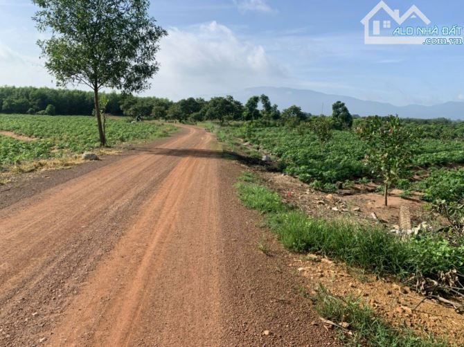Đất 52.528m2 view sông 300m, đường ô tô, giá rẻ, 2 mặt tiền