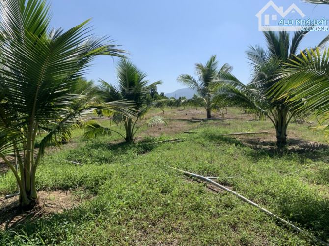 Đất 52.528m2 view sông 300m, đường ô tô, giá rẻ, 2 mặt tiền - 1