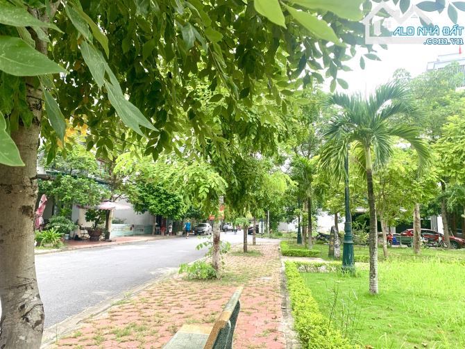 Siêu phẩm lô góc xẻ khe khu phân lô cao cấp sau quận uỷ Sở Dầu, Hồng Bàng, Hải Phòng - 5
