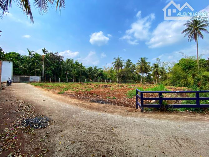 Bán đất thổ cư nhà vườn hẻm 383 Nguyễn Văn cừ tpbmt