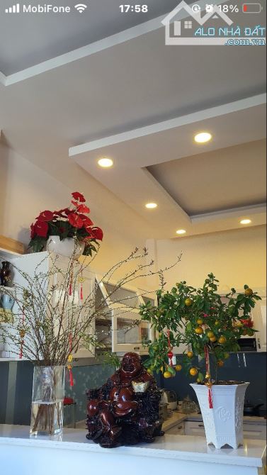 Bán căn biệt thự mini đường Trần Đại Nghĩa - p8 - Đà Lạt. 3 tầng, 3phong ngủ, 5ty5 - 21