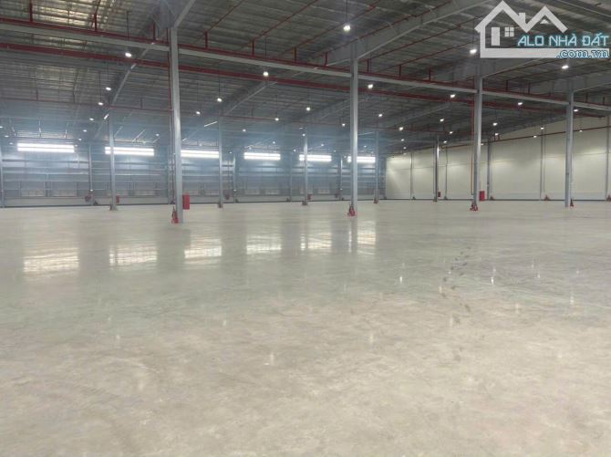 Cho thuê 6000m² kho mới xây dựng 100% tại khu công nghiệp Trảng Nhật, Điện Bàn, Quảng Nam. - 3