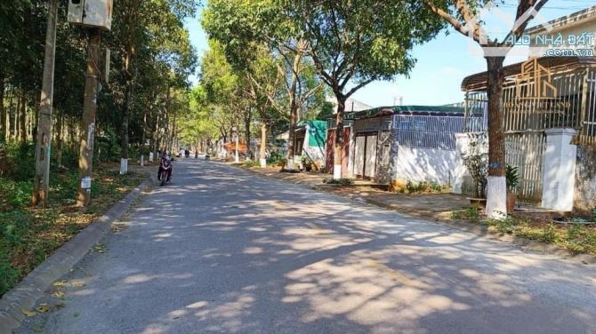 Bán đất đường Y Linh Niê - khu Tân Phong , Dt:5x24m (thổ cư 100%) hướng Nam. Giá:1,999 tỷ