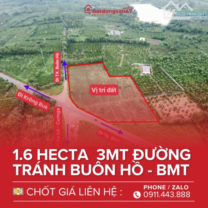 💥1.6 HECTA GÓC 3MT KHUÔN ĐẤT ĐẸP VỚI 180M BÁM ĐƯỜNG TRÁNH BUÔN HỒ - 1