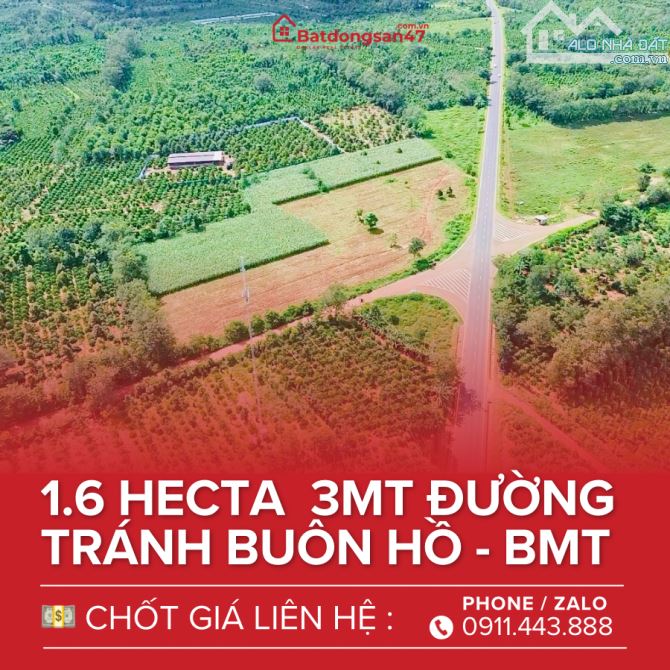 💥1.6 HECTA GÓC 3MT KHUÔN ĐẤT ĐẸP VỚI 180M BÁM ĐƯỜNG TRÁNH BUÔN HỒ - 2