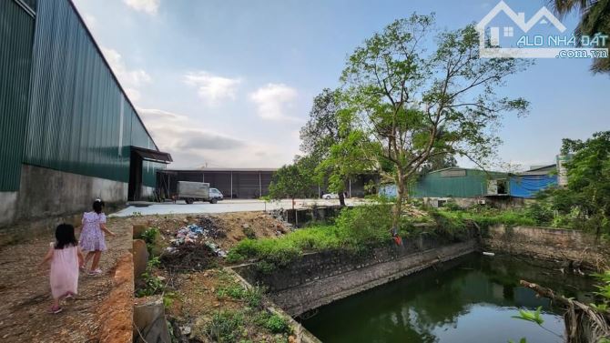 Cho thuê nhà máy độc lập 5000m2 sẵn 2500m2 nhà xưởng giá rẻ - 2