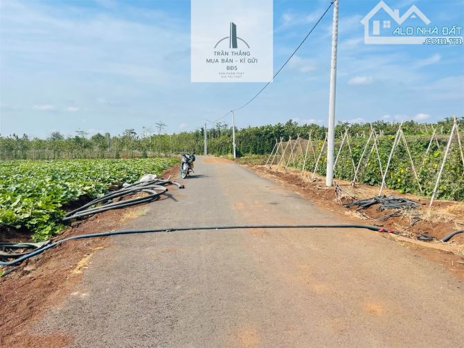 Chỉ 770tr có ngay lô đất 1.000m2 xã Bình Trung - Châu Đức - BRVT - 2