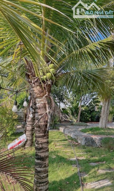 💢 Bán căn nhà vườn view suối 1950m2 có thổ cư Tại Eakao 💢 - 11