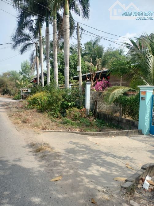 Bán đất mặt bằng kinh doanh đường Cây Gõ trung tâm xã An Nhơn Tây Củ Chi, DT: 14x53m - 3